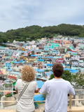 Busan Private Half-Day Tour: Exclusive Experiences for Your Group! - 1