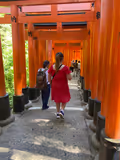 Kyoto's must-see attractions and World Heritage sites in one day. - 3