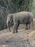 Kanchanaburi : Experience the Best of Kanchanaburi in One-Day Private Tour from Bangkok - 1