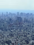 Tokyo Private & Custom Local Guide Tour – 1-Day Luxury Experience - 2