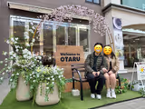 Let's Explore Otaru + Cape Kamui, Shakotan - 1
