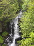 Nikko One Day Tour by Private car - 4