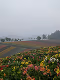 custom tour - 1