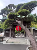 Kamakura & Yokosuka: History of War and Peace Tour - 3
