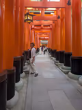 Kyoto Perfect Day tour : all the highlights included - 3