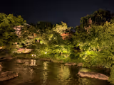 Kyoto Perfect Day tour : all the highlights included - 4