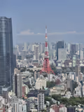 Tokio, traditionell und modern - 4