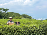 Shimizu Panorama Tour - 1