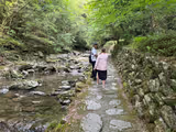 Explore Niyodo Blue: Japan’s Most Beautiful River with Licensed Local Guide & Premium Minivan - 2