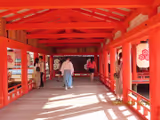 Full-Day in Miyajima - 2