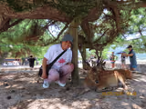 Full-Day in Miyajima - 1