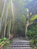 Kamakura One-day Walking Tour - 3