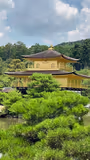 Kyoto Early Bird Highlights with Car Service - 4