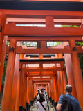 Kyoto Private Day Tour from Tokyo by Shinkansen with Hotel Pick-Up - 3