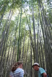 Private Kyoto Customizable Day Trip With A Local - 1
