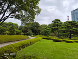 Tokyo private Tour upon your wish - 3