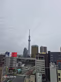 Tokyo private Tour upon your wish - 1
