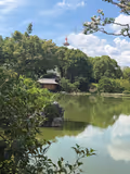 An unforgettable Experience in Enchanting Kyoto (German / English) - 2