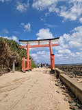 Aoshima and Nichinan Coast half-day tour - 3