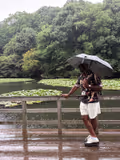 Tokyo Highlights Private Tour - Experience with a Local Touch - - 1