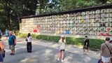 Explore Tokyo with a Local - Tour & Travel Support - 2
