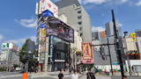 Explore Tokyo with a Local - Tour & Travel Support - 3