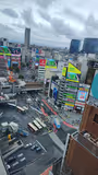 Harajuku: Between a frantic street & tranquil forest! - 3
