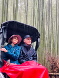 Best of Kyoto with vehicle(private tour) - 2