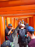 Kyoto’s Must-See Wonders: Red Gates, Bamboo Forest & Golden Temple!! - 2