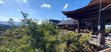 Kyoto Private Day Tour from Tokyo by Shinkansen with Hotel Pick-Up - 1