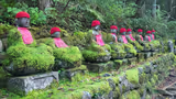 Nikko Highlights: Toshogu, Rinnoji & Kanmangafuchi Abyss - 1