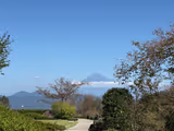 Shimizu Panorama Tour - 1