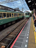 Kamakura & Enoshima in One Day: Packed with the Best Historic & Scenic Highlights - 4