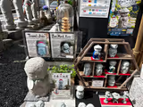 Kamakura & Enoshima in One Day: Packed with the Best Historic & Scenic Highlights - 2