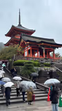 A Family Day in Kyoto: All The Best Places - 2
