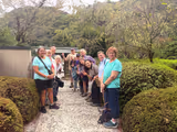 Kyoto Highlights: Bamboo Grove & Ancient Temples (4-Hour Private Tour) - 1