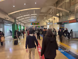 Tokyo one day tour for 1st time visitor - 1