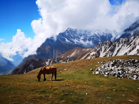 Other Bagmati Locations Tour Guide