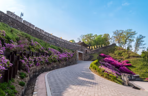 South Chungcheong Tour Guide