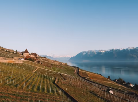 Vaud Tour Guide