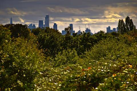Waltham Forest Tour Guide