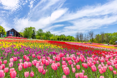 Hokkaido Tour Guide