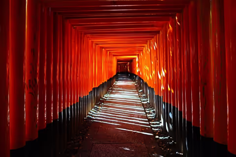 Kyoto Tour Guide