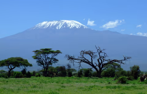Kilimanjaro Tour Guide