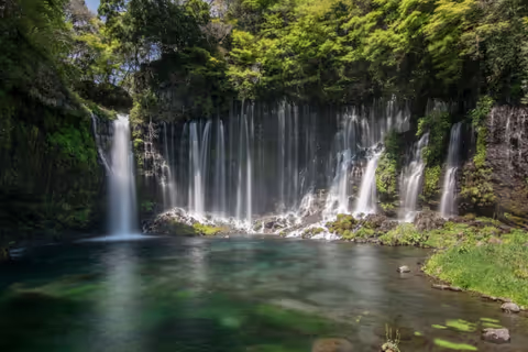 Other Shizuoka Locations Tour Guide