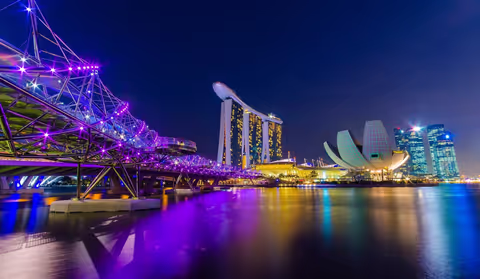 Singapore Tour Guide