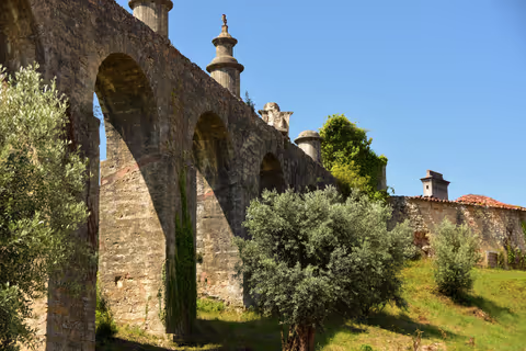 Tomar Tour Guide