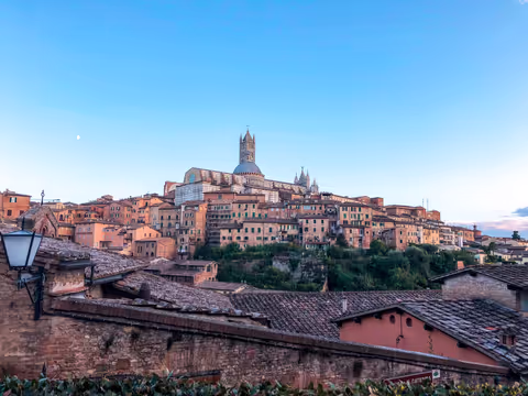 Siena Tour Guide