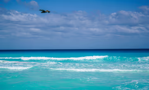 Cancun Tour Guide