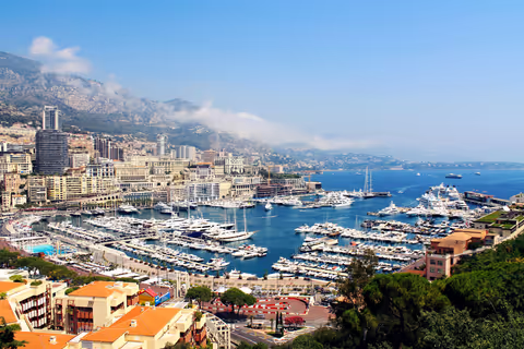 Monte Carlo Tour Guide